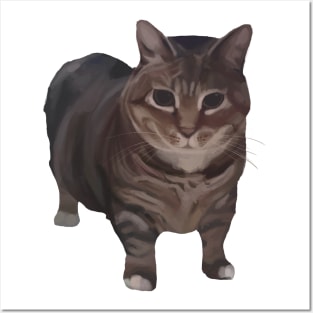 Spinning Cat Meme / OIIAI Cat / UIIAI Cat / OIIA Cat / UIIA Cat Posters and Art